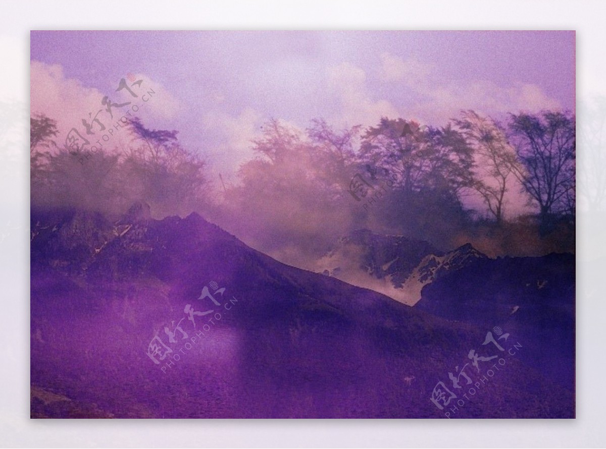 紫色的風景油畫底紋图片