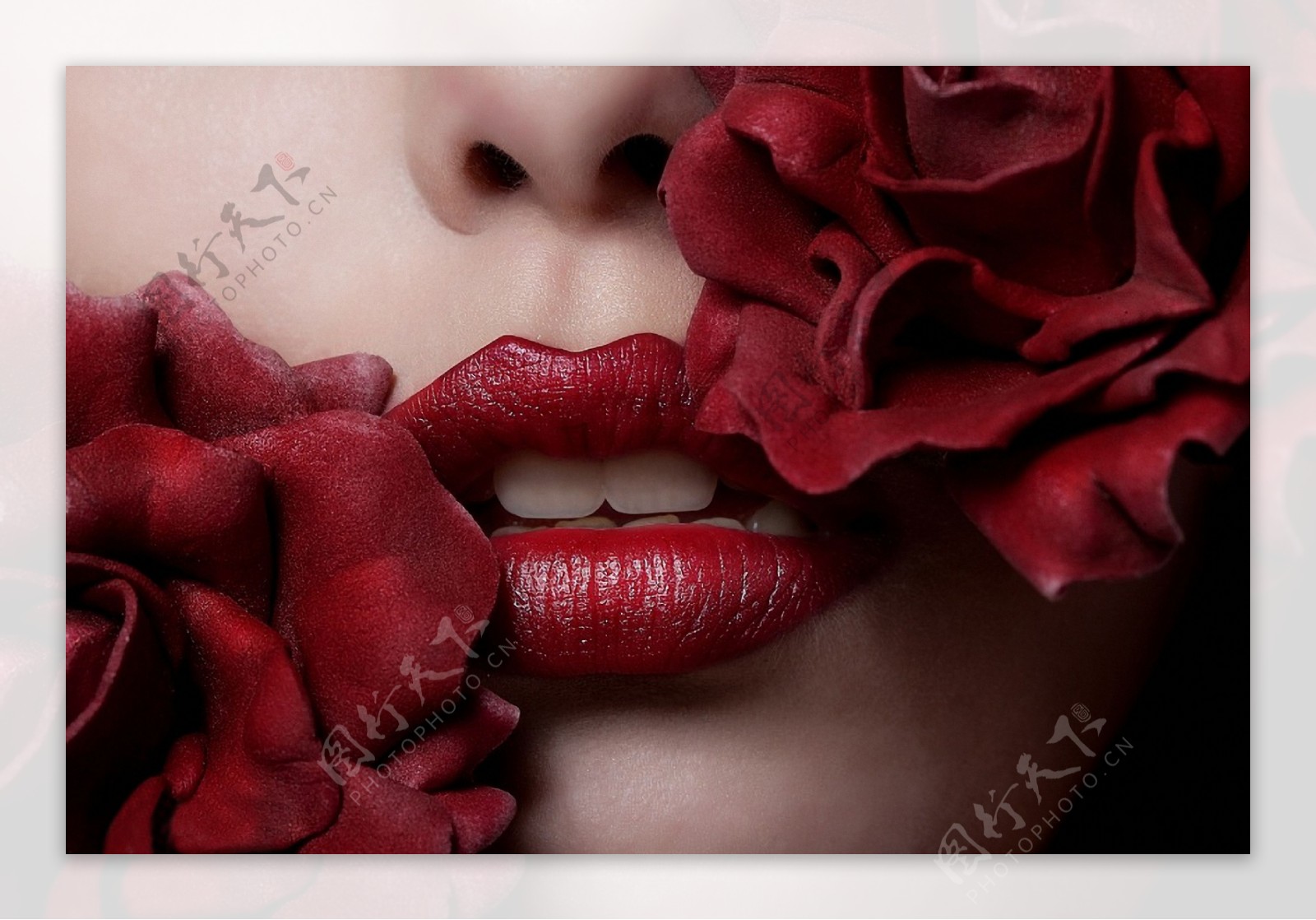 红唇平铺背景图片素材-编号15508835-图行天下