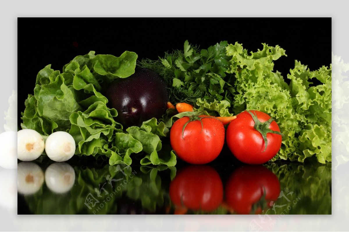 西红柿蕃茄绿色蔬菜图片