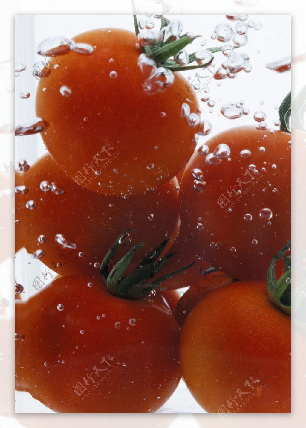 番茄飞溅图片