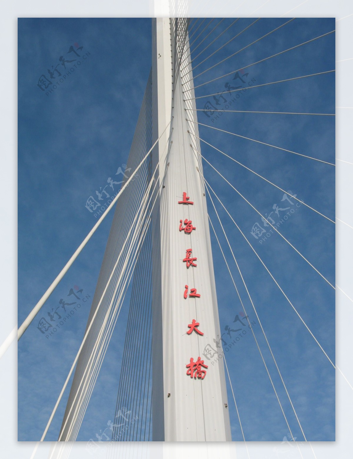 上海崇明长江大桥图片