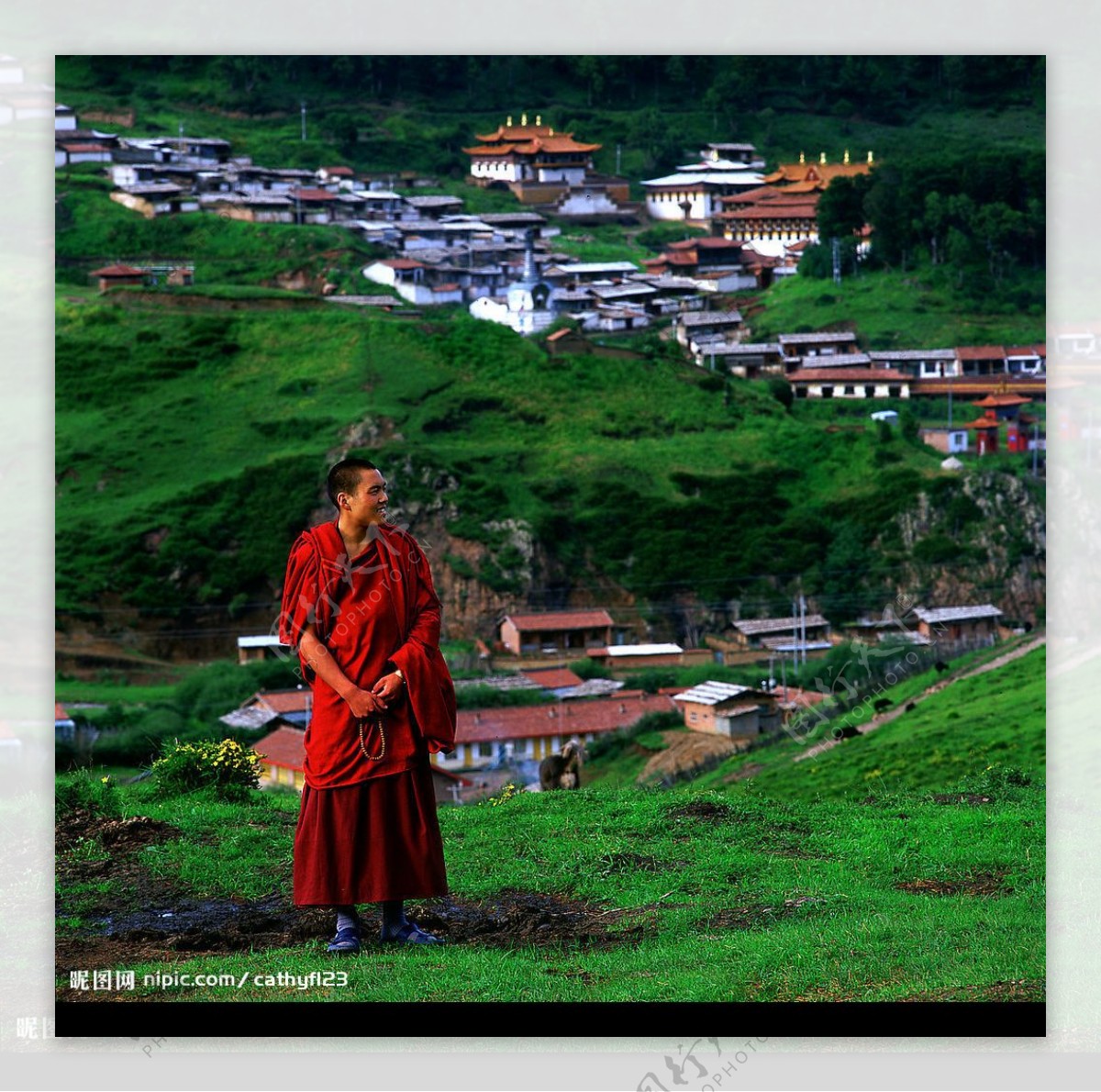 川藏僧人图片