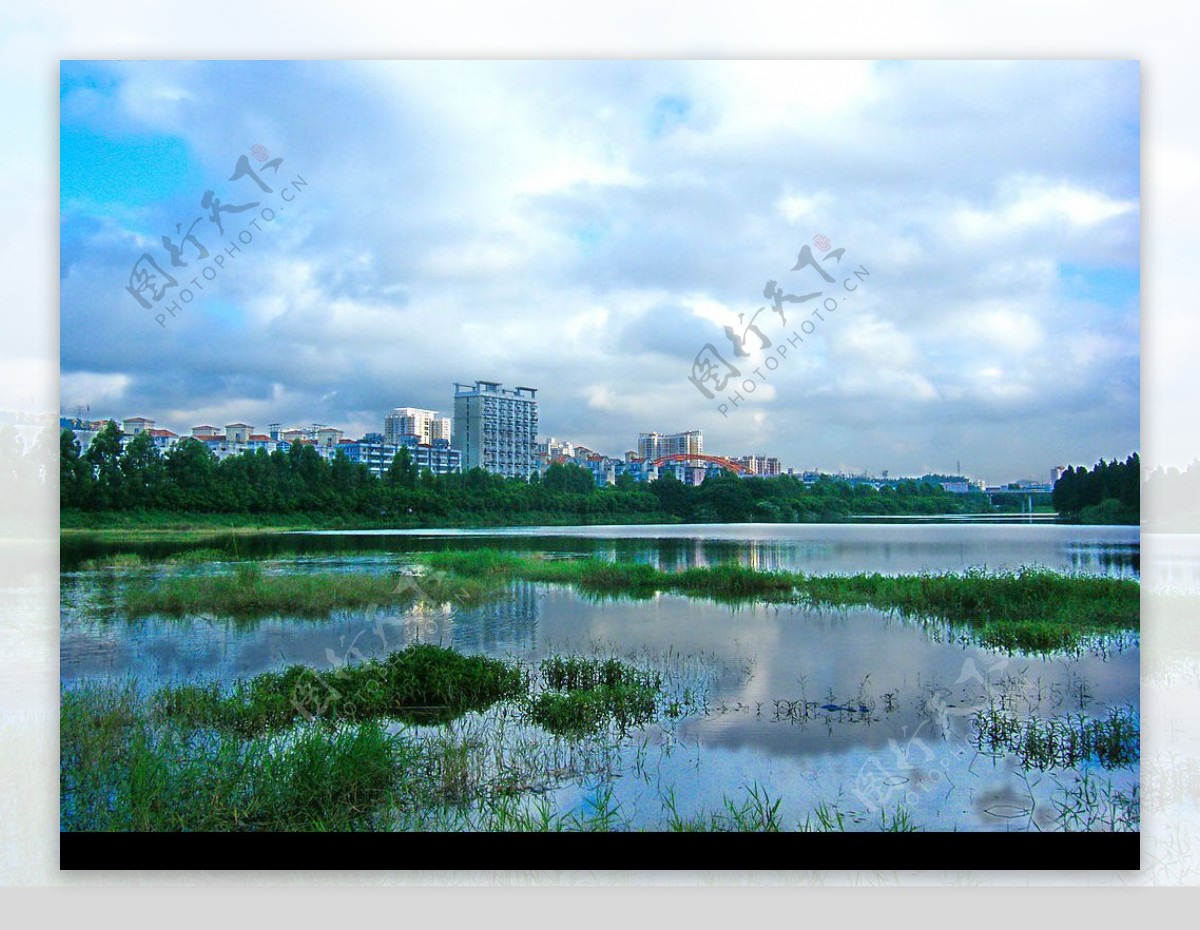 洪湖水景图片