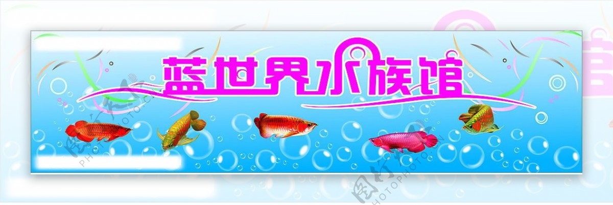 蓝世界水族馆鱼水泡图片