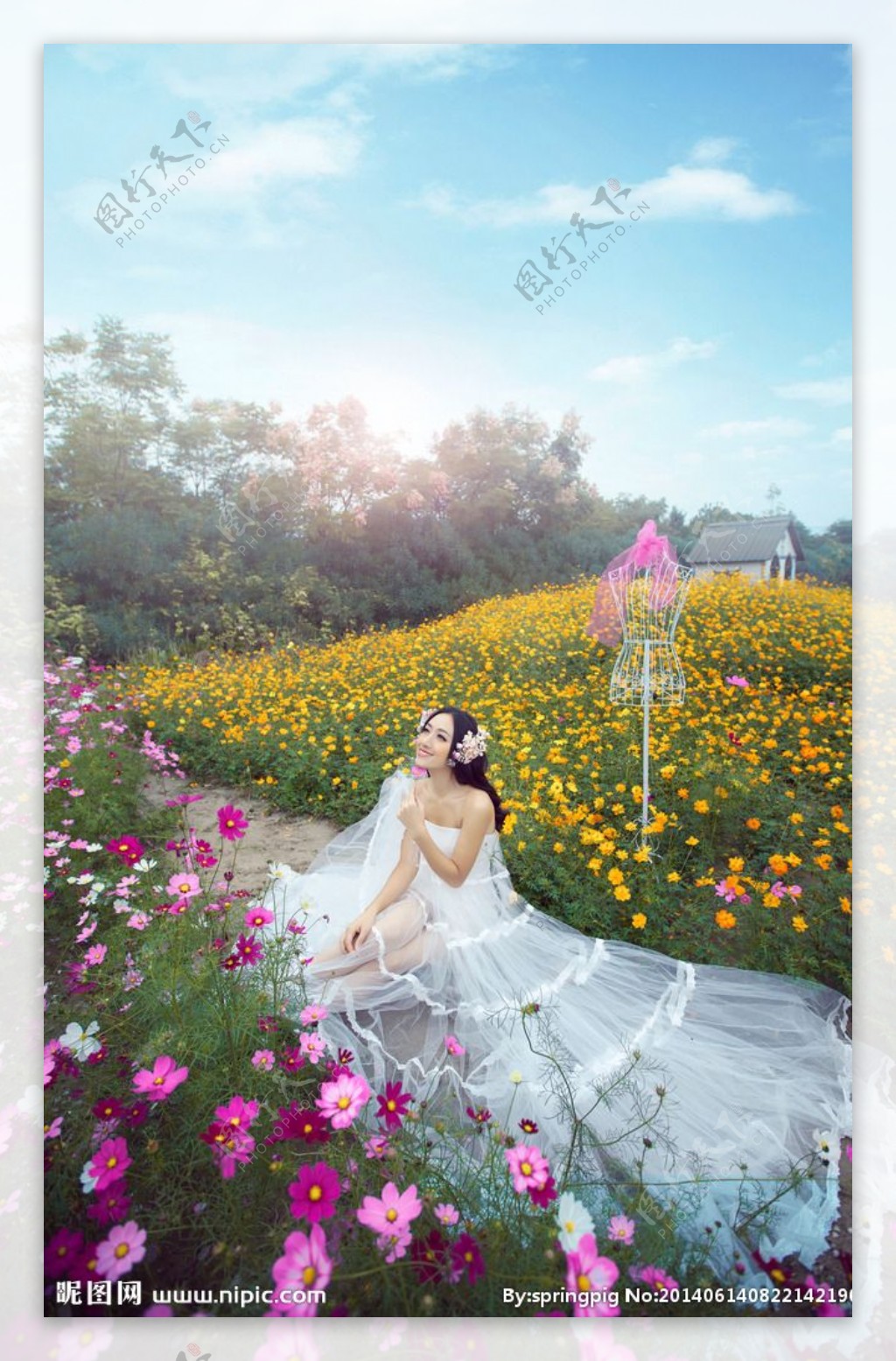 北京婚纱摄影；告诉你薰衣草花海花期