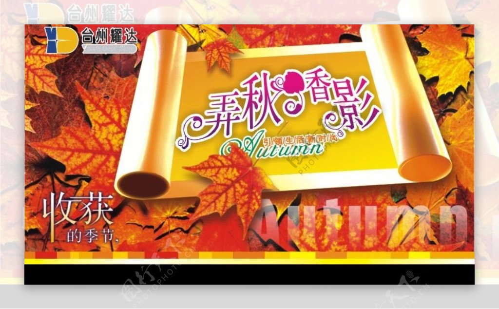 2008秋天类季节吊旗海报POP图片