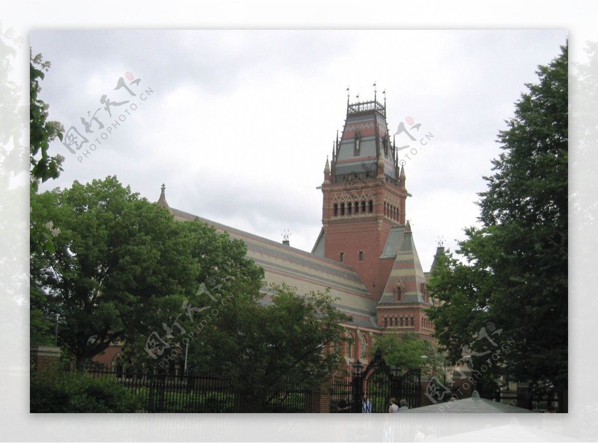 哈佛大学图片