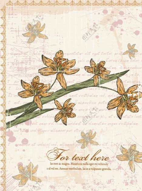 古典花纹花卉图片