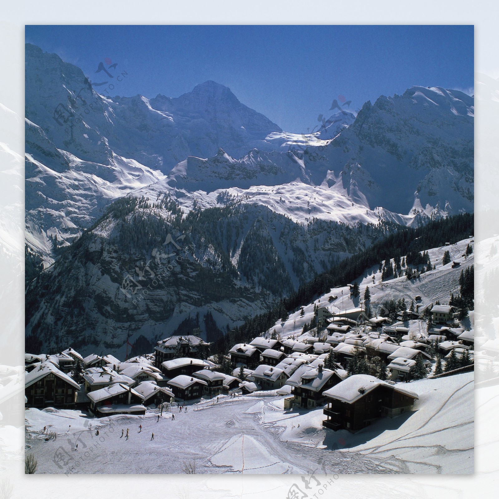 瑞士阿尔俾斯山冬景图片