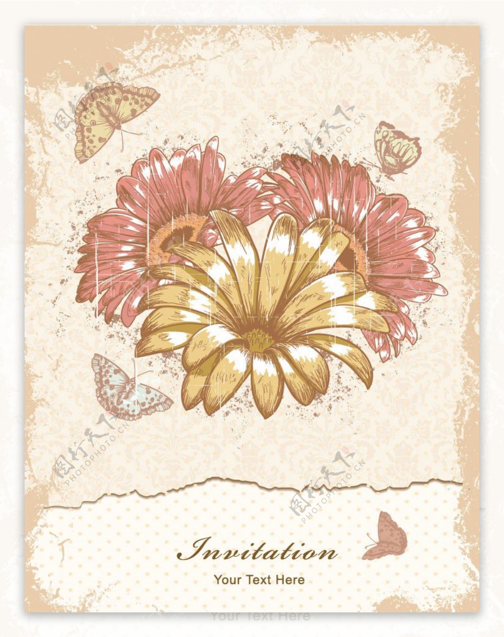 古典花纹花朵蝴蝶图片