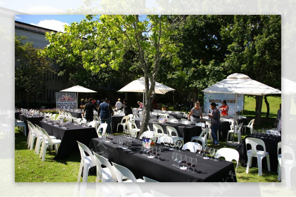 南非葡萄酒庄园露天品酒图片