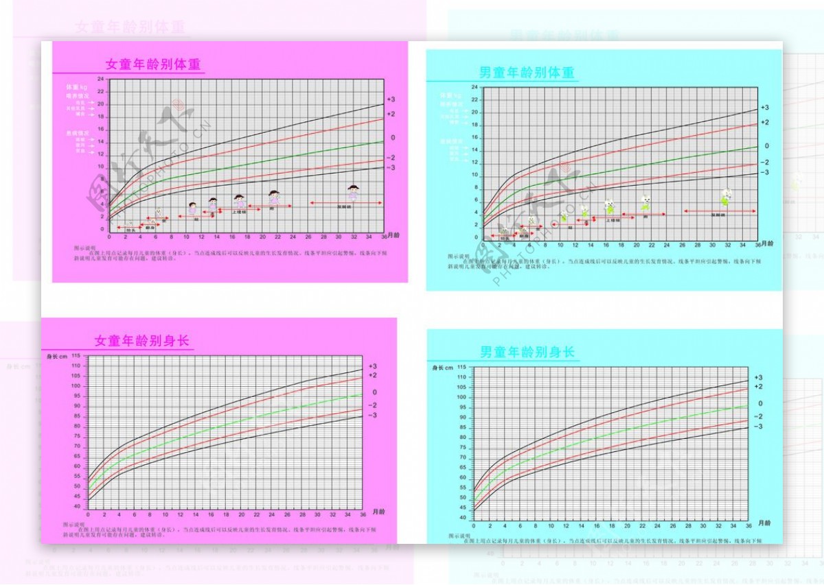 男童女童身高体重表图片