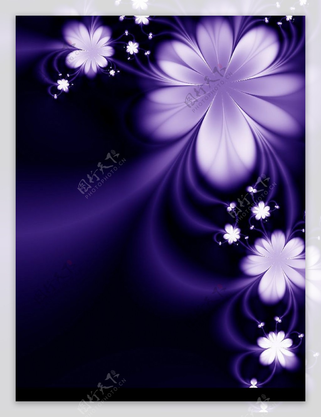 紫色梦幻图片