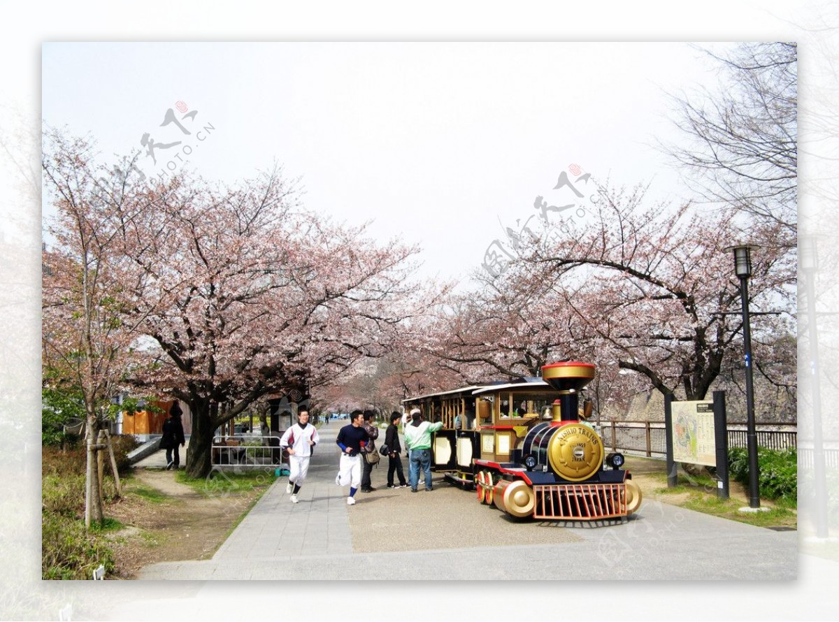 大阪城公园图片