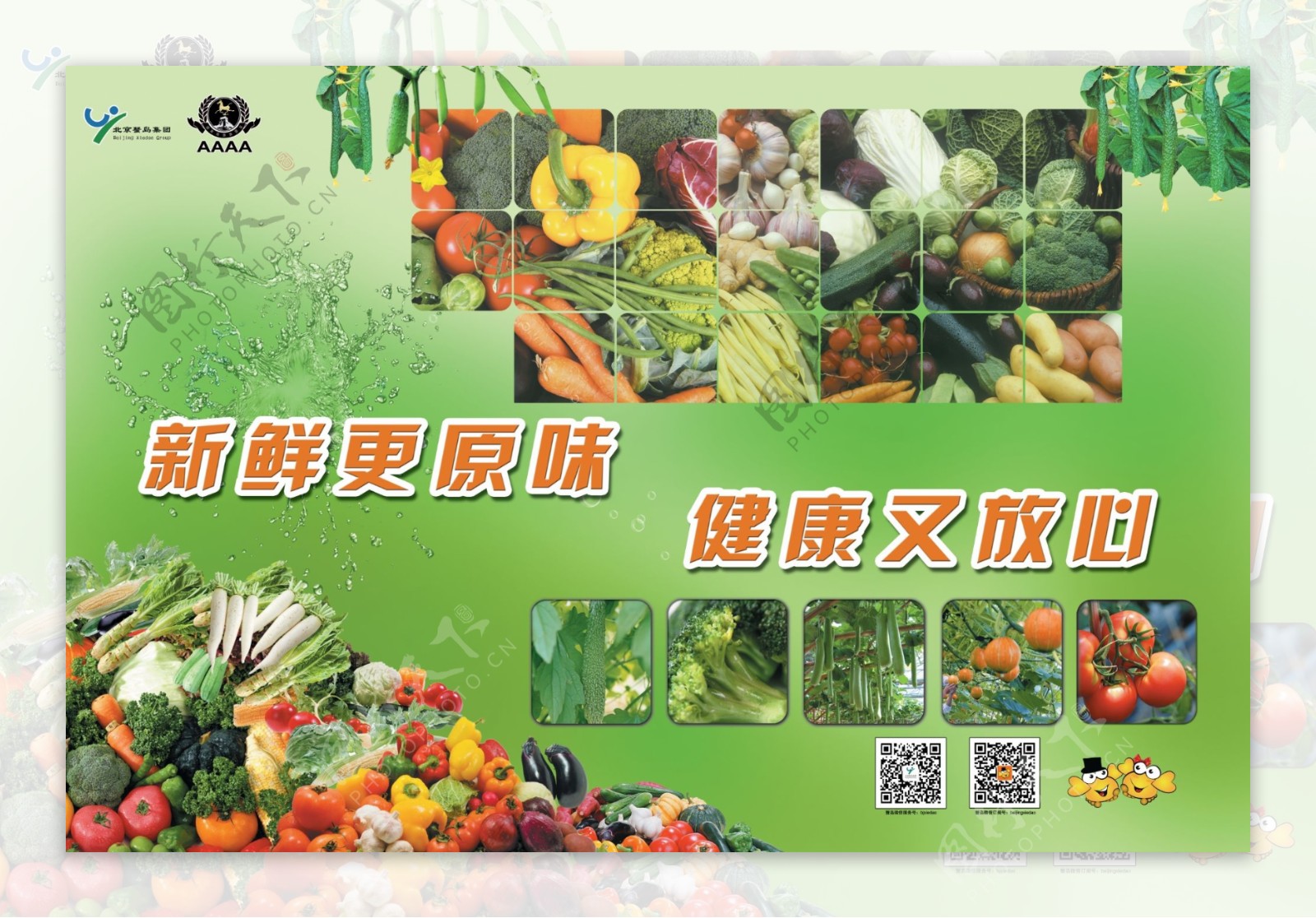 蔬菜展板图片