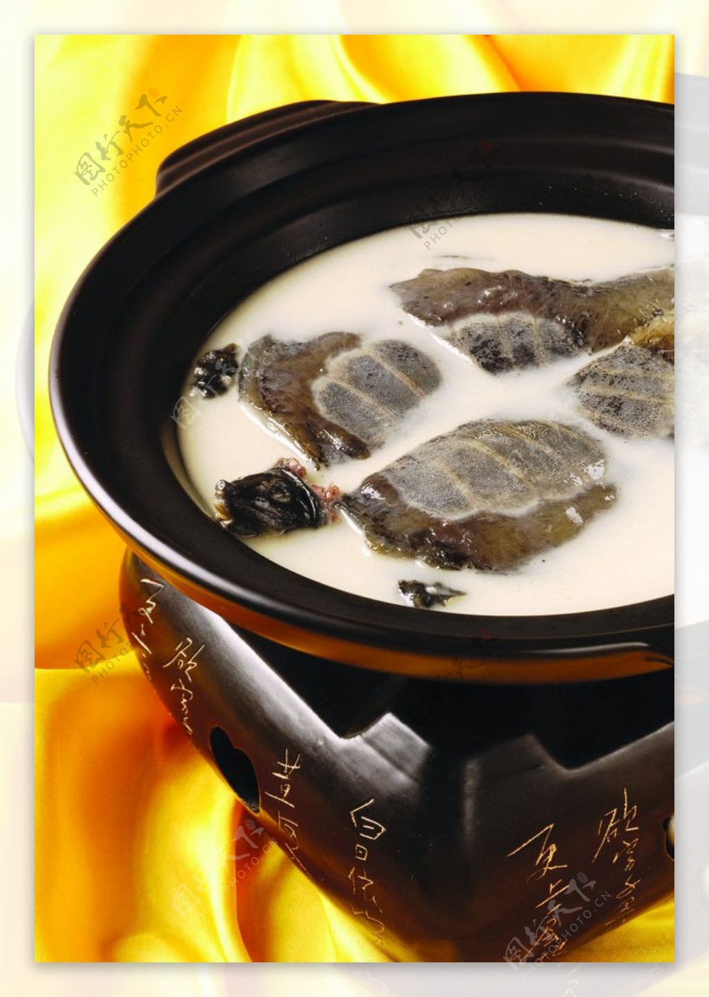 原汁奶汤炖野生甲鱼图片