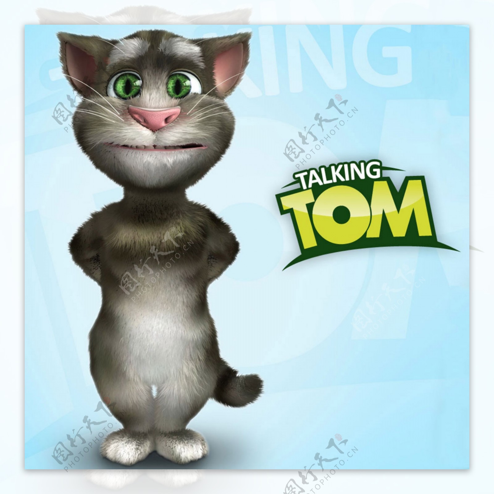 汤姆猫图片