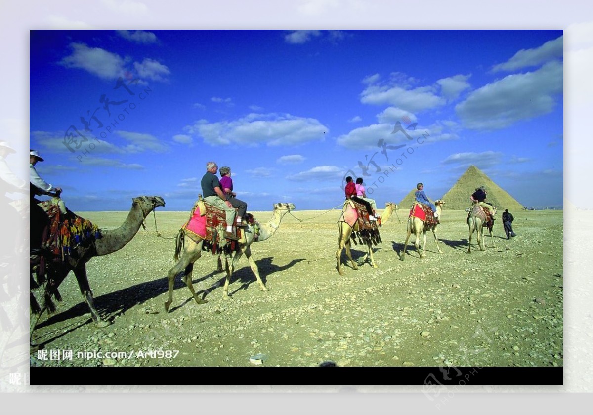 蓝色天空下的埃及金字塔骑着骆驼的游客图片