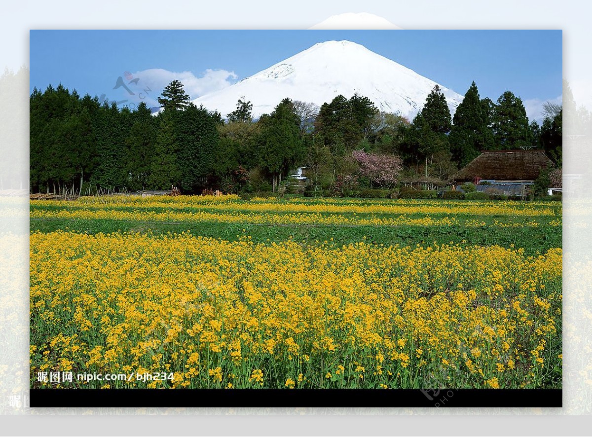 日本富士山图片