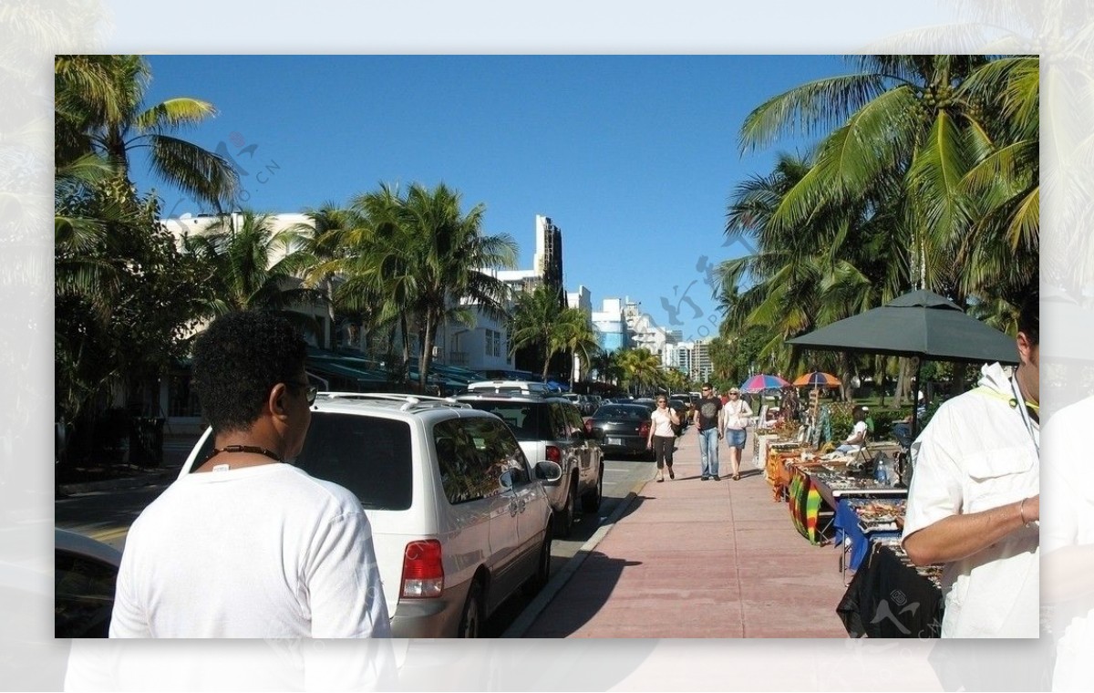 迈阿密街景图片