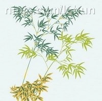 日本传统图案矢量素材99花卉植物图片