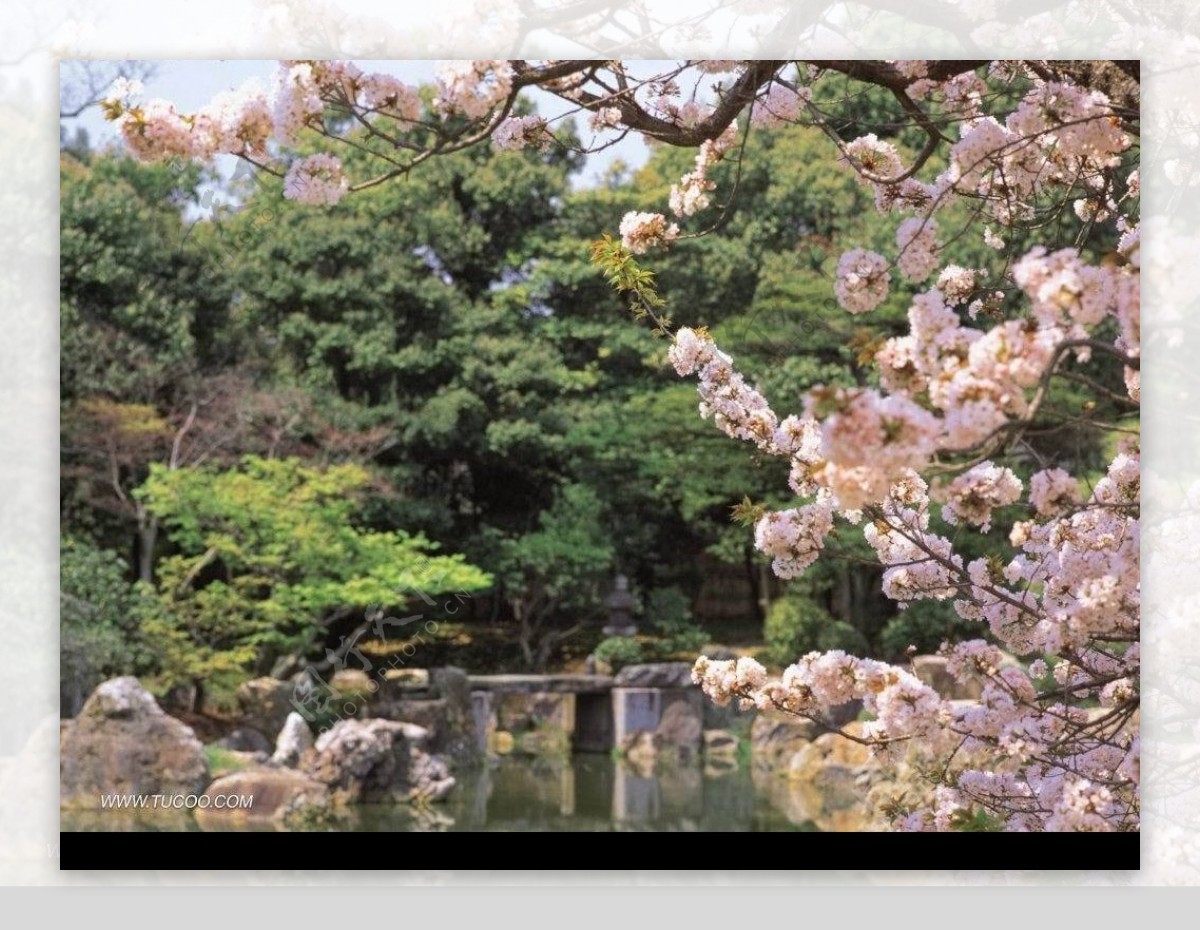 京都略影图片