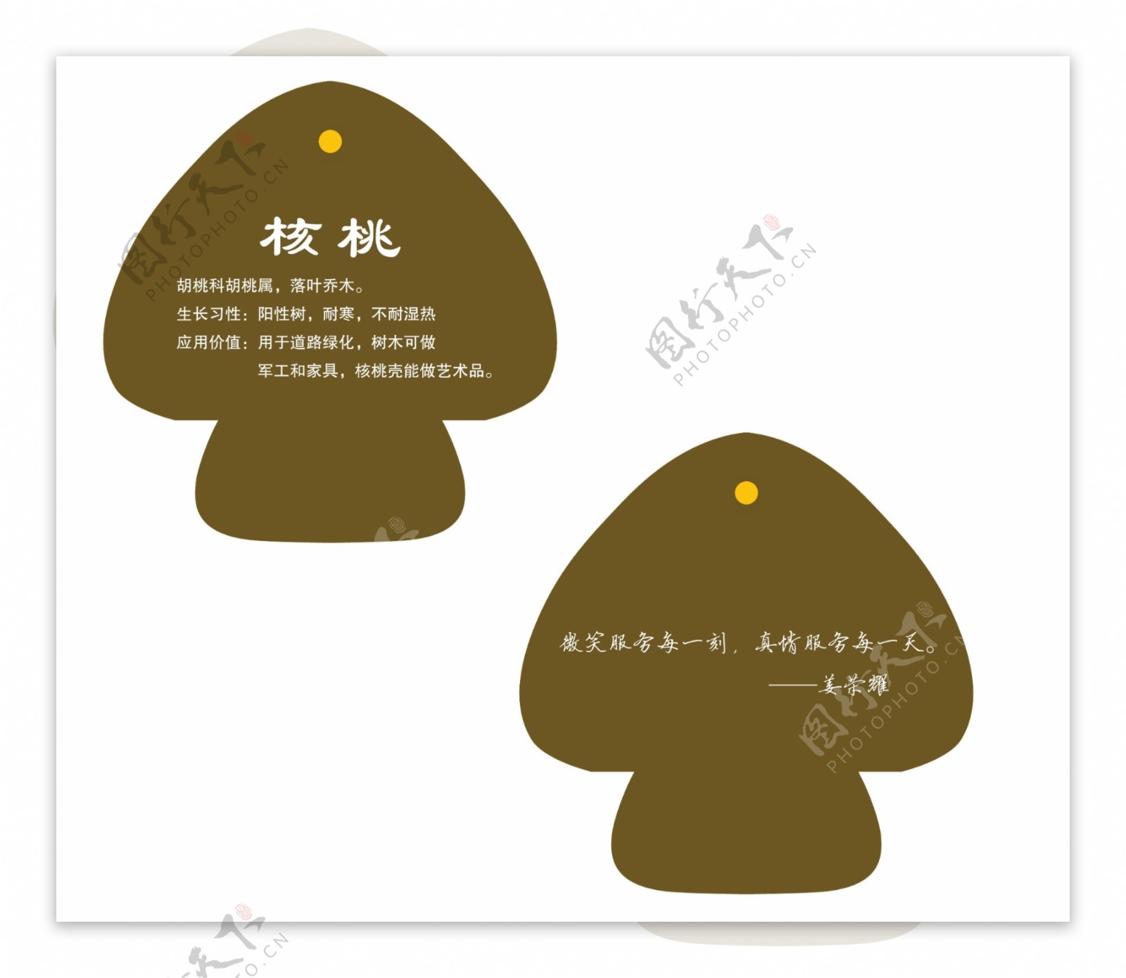 蘑菇型树牌图片