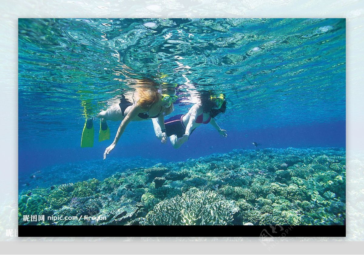 澳洲大堡礁图片