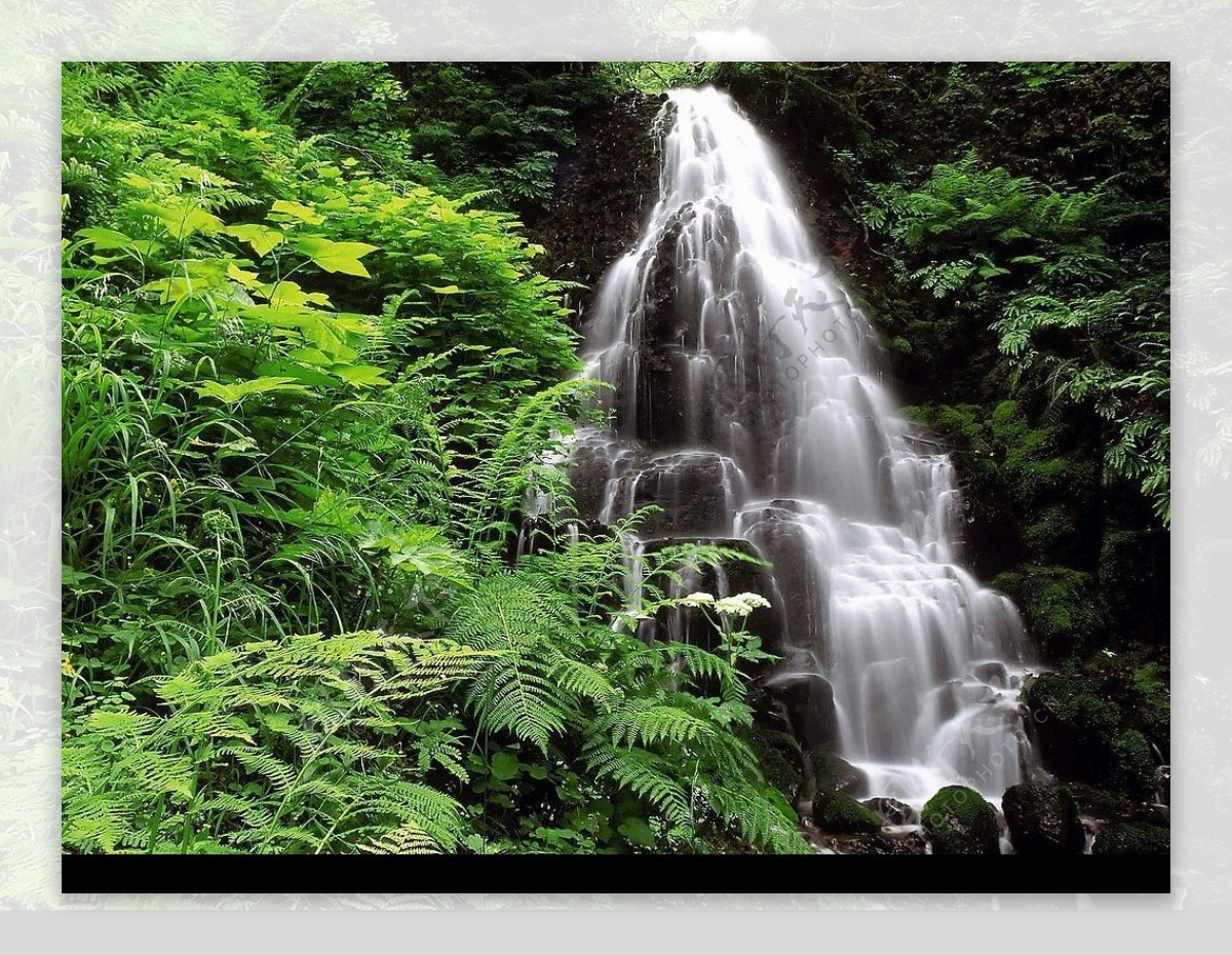 绿林瀑布图片