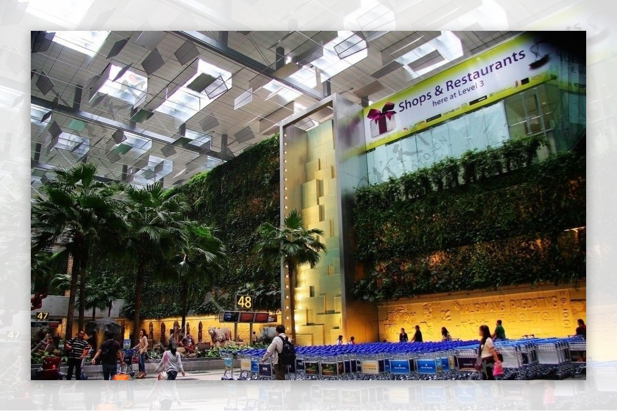 新加坡樟宜机场T2航站楼图片