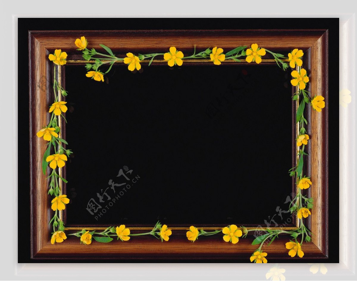 创意花卉相框图片