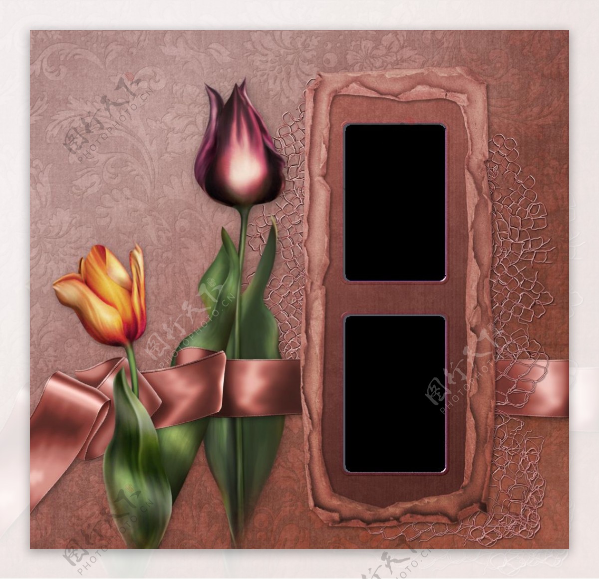 郁金香花朵相框背景图片