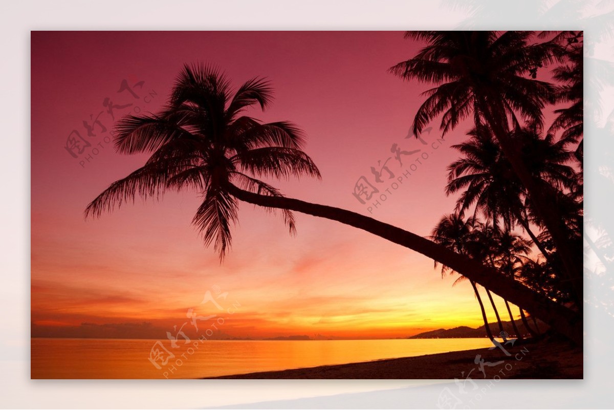 马尔代夫海滩夕阳图片
