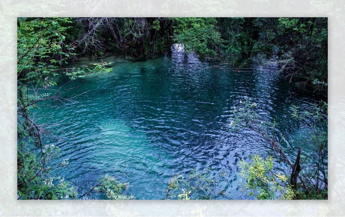 九寨沟泉水图片