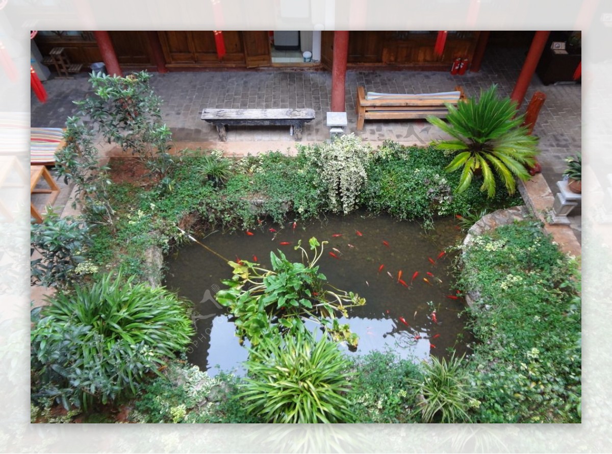 庭院水池图片