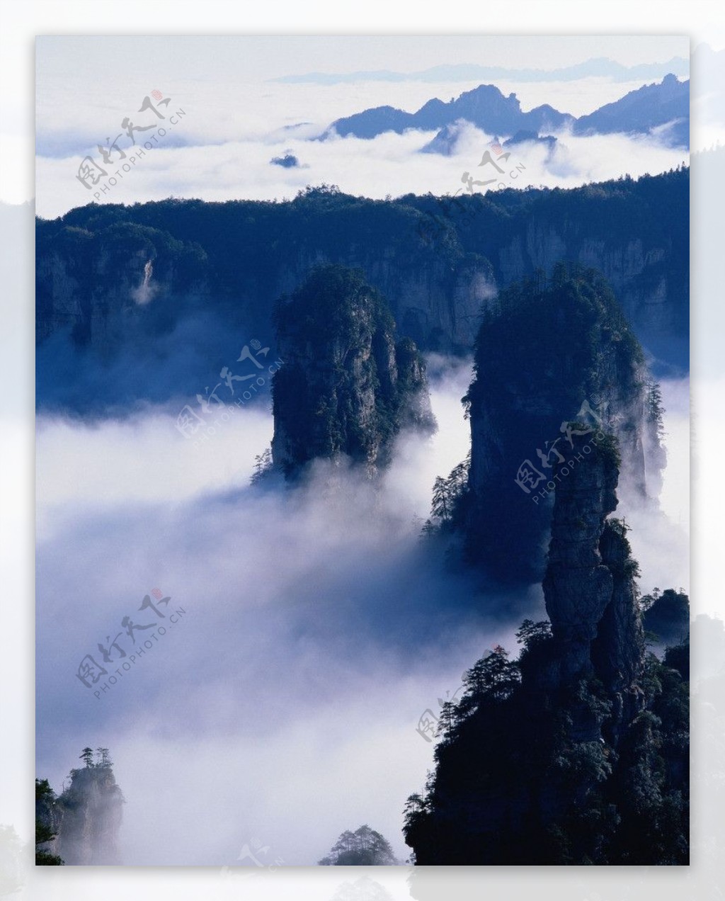 雾境图片