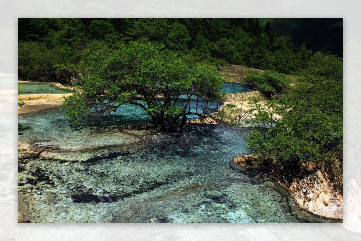 黄龙风景图片