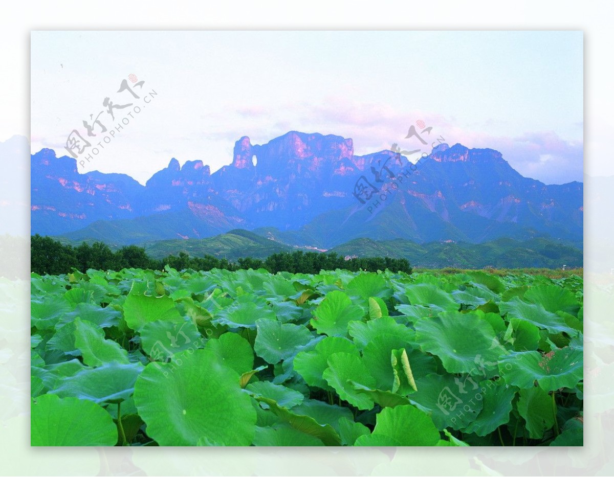 张家界天门山风景图片