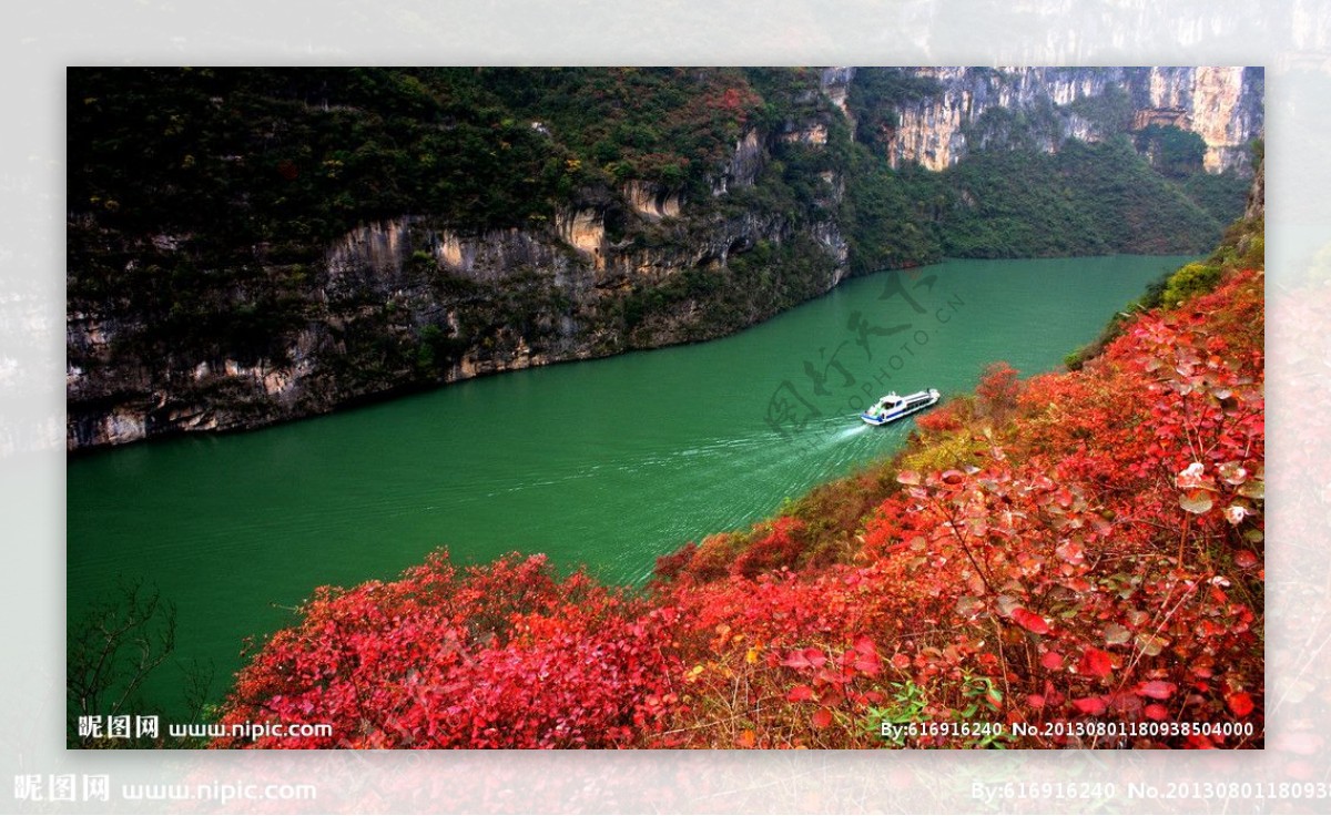 三峡红叶似彩霞图片