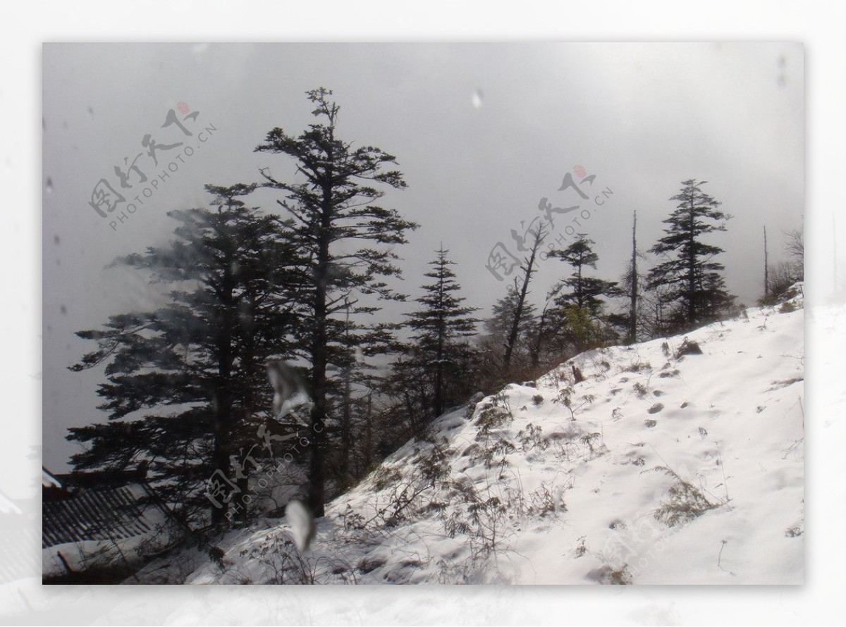 峨眉山雪景图片