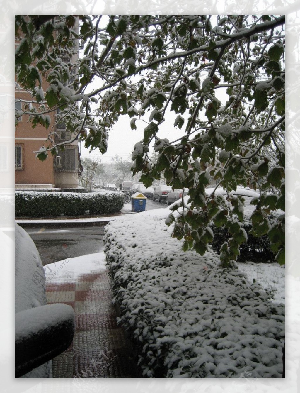 雪后小区图片