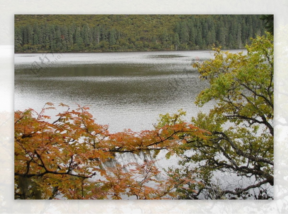 山水湖泊森林图片