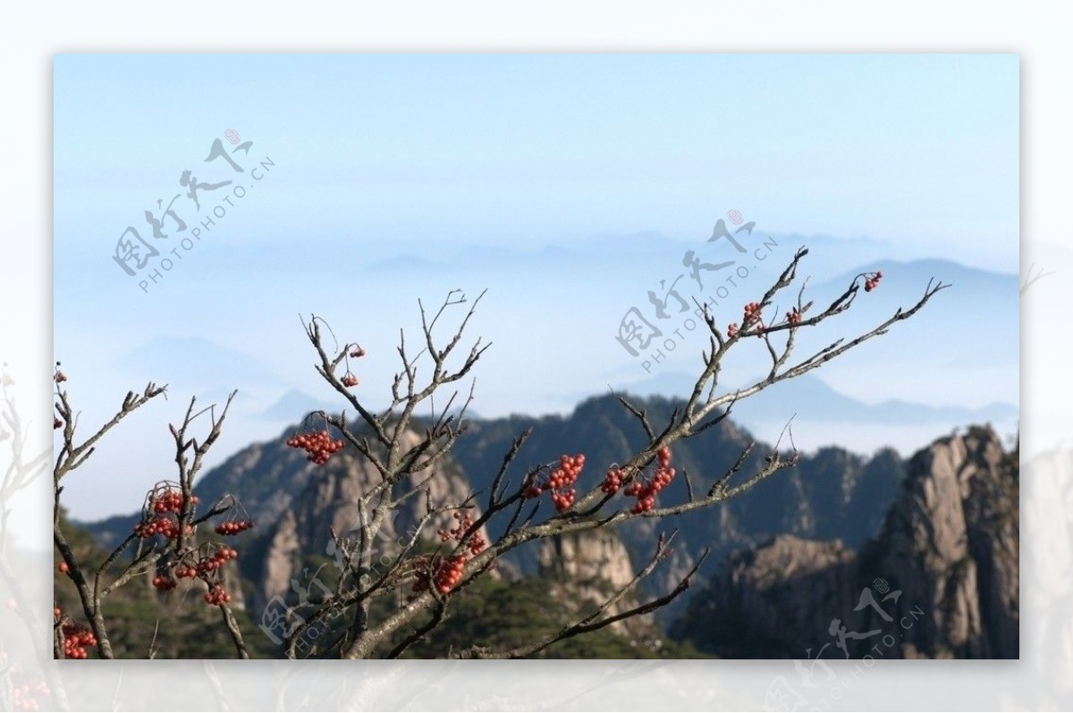 黄山风景图片