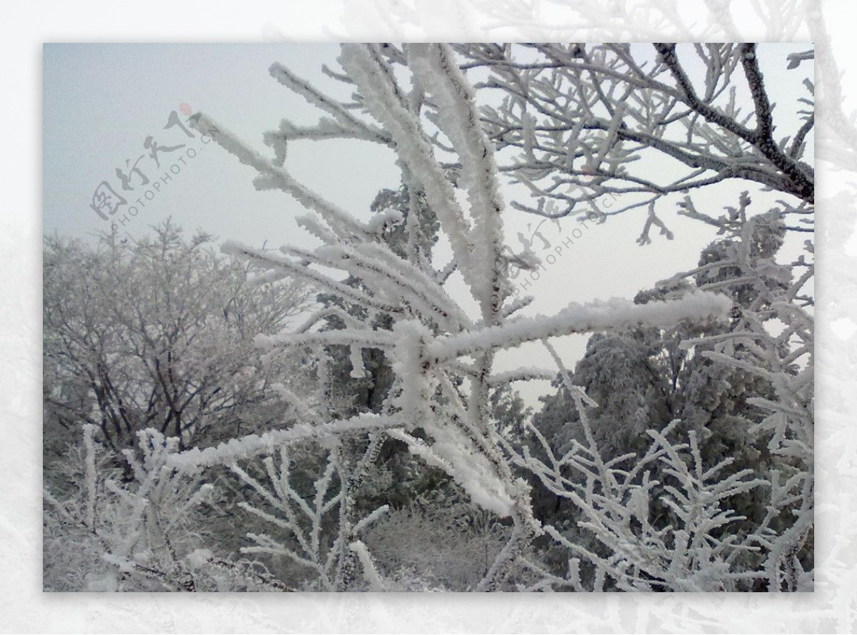 雪景图片