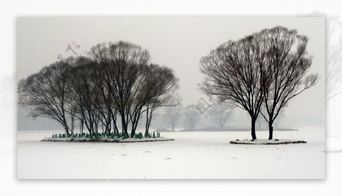 冬日雪景图片