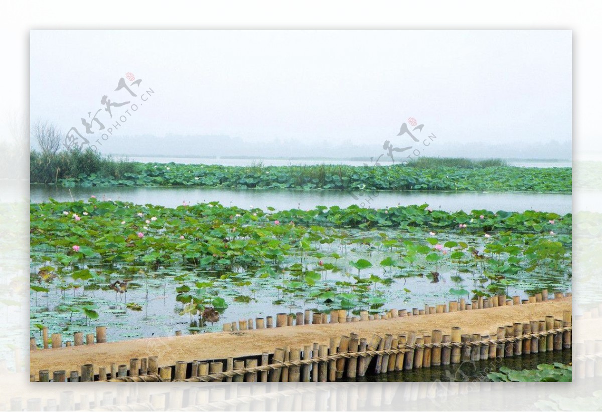 龙湖湿地公园图片