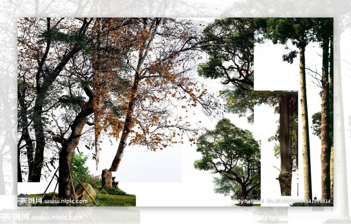 树木集体素材图片