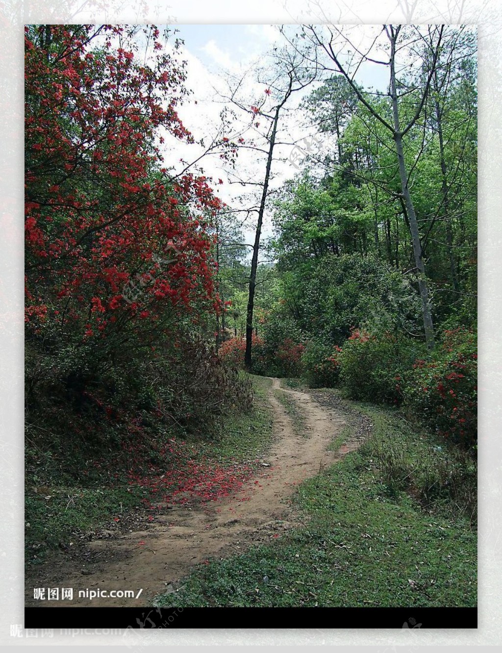 山路图片