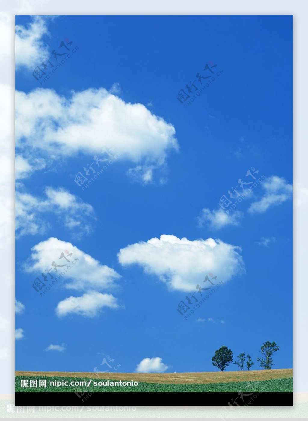 蓝天白云清爽大气清凉图片
