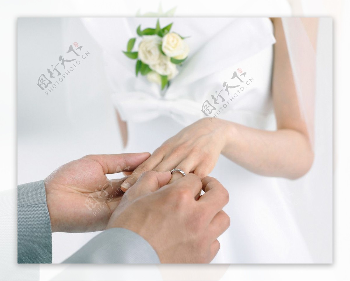 新郎给新娘带戒指图片